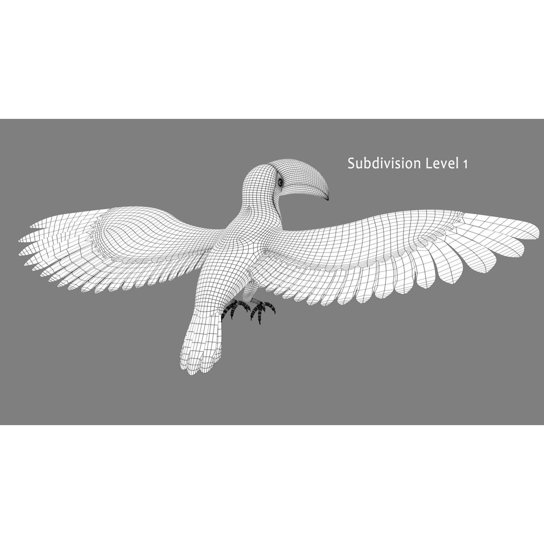 Toucan A 3D Model – Realistic Flying Bird, Rigged & Animated - View 11