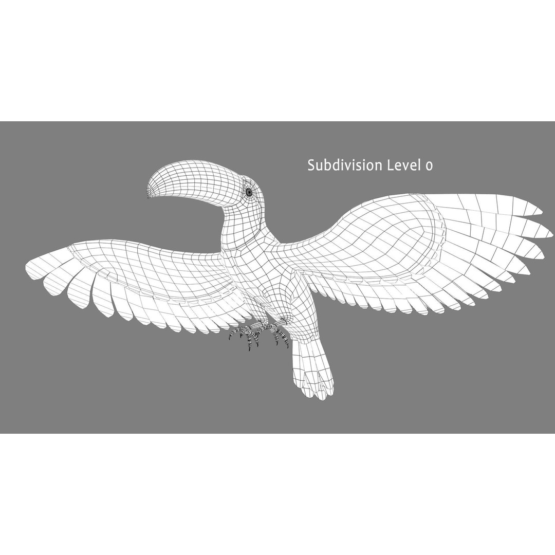 Toucan A 3D Model – Realistic Flying Bird, Rigged & Animated - View 12