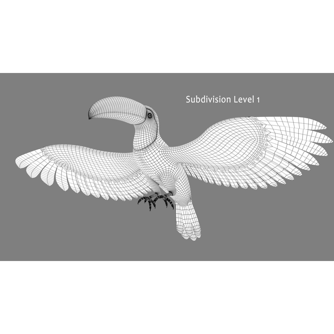 Toucan A 3D Model – Realistic Flying Bird, Rigged & Animated - View 13
