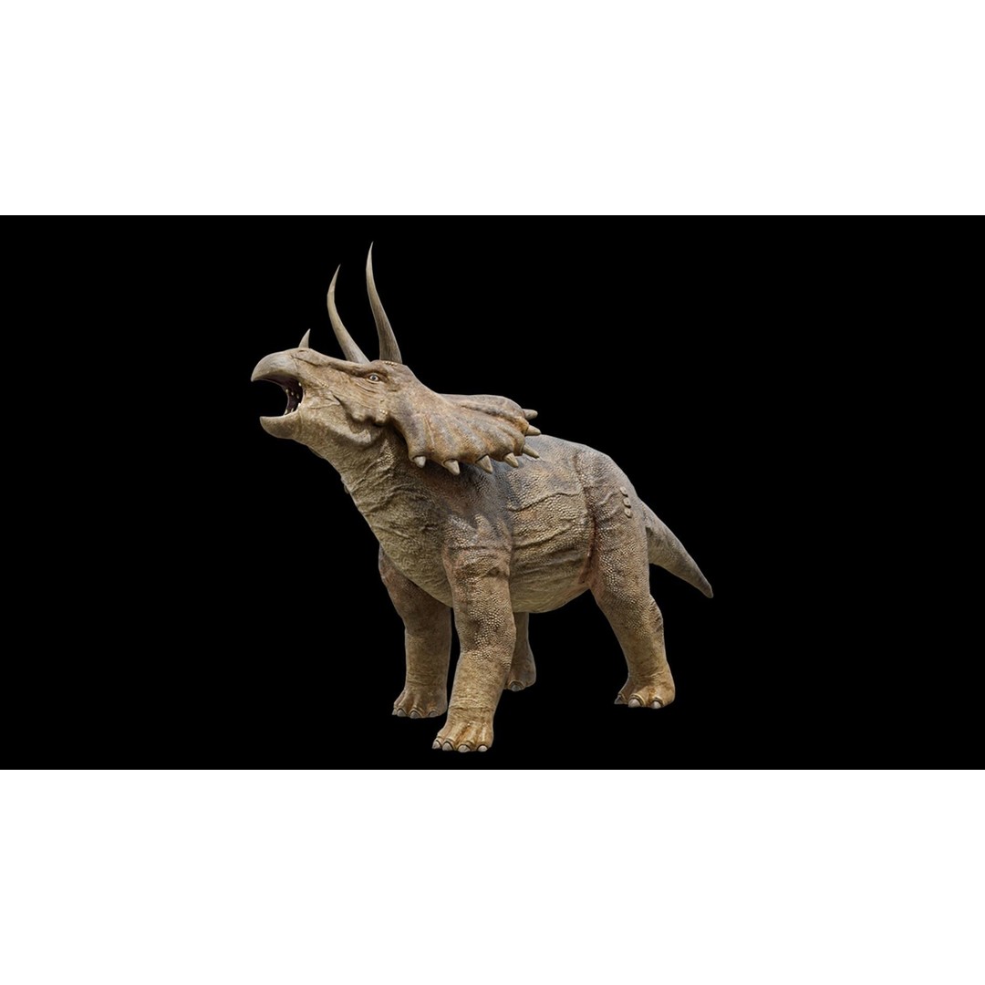 Triceratops 3D Model – Low Poly Rigged Dinosaur, FBX, Blender - View 16
