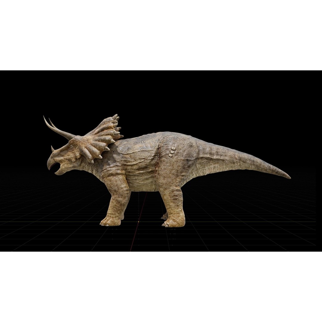 Triceratops 3D Model – Low Poly Rigged Dinosaur, FBX, Blender - View 17
