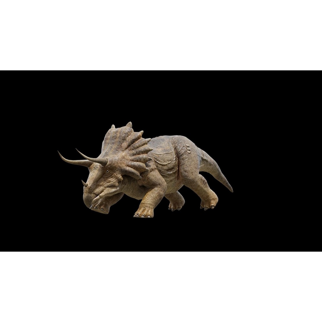 Triceratops 3D Model – Low Poly Rigged Dinosaur, FBX, Blender - View 26