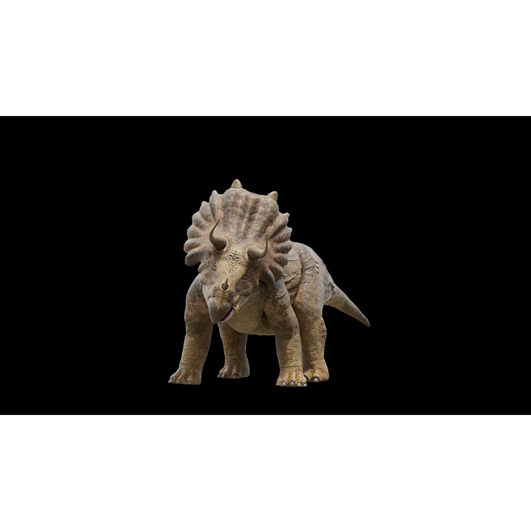 Triceratops 3D Model – Low Poly Rigged Dinosaur, FBX, Blender - View 5