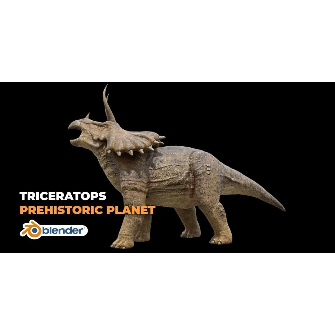 Triceratops 3D Model – Low Poly Rigged Dinosaur, FBX, Blender - View 7