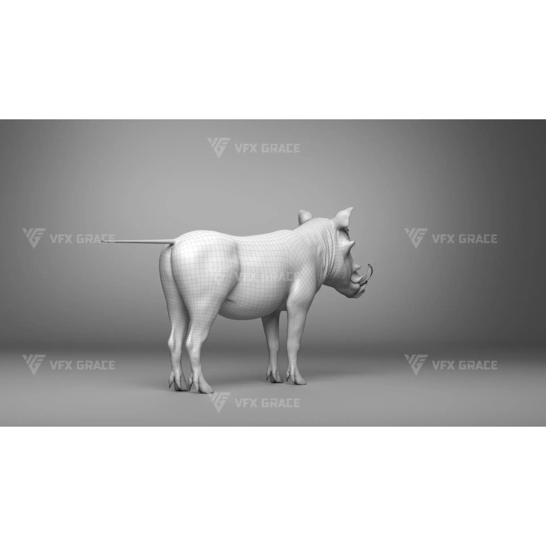 Warthog 3D Model – Realistic Animated Character, Blender, FBX