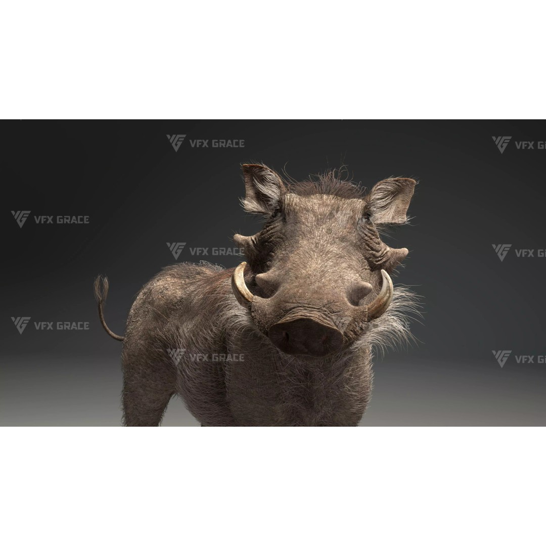 Warthog 3D Model – Realistic Animated Character, Blender, FBX - View 10