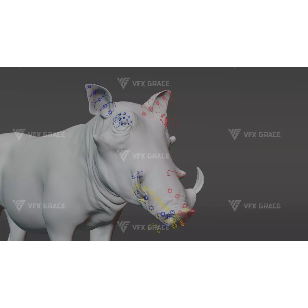 Warthog 3D Model – Realistic Animated Character, Blender, FBX - View 13