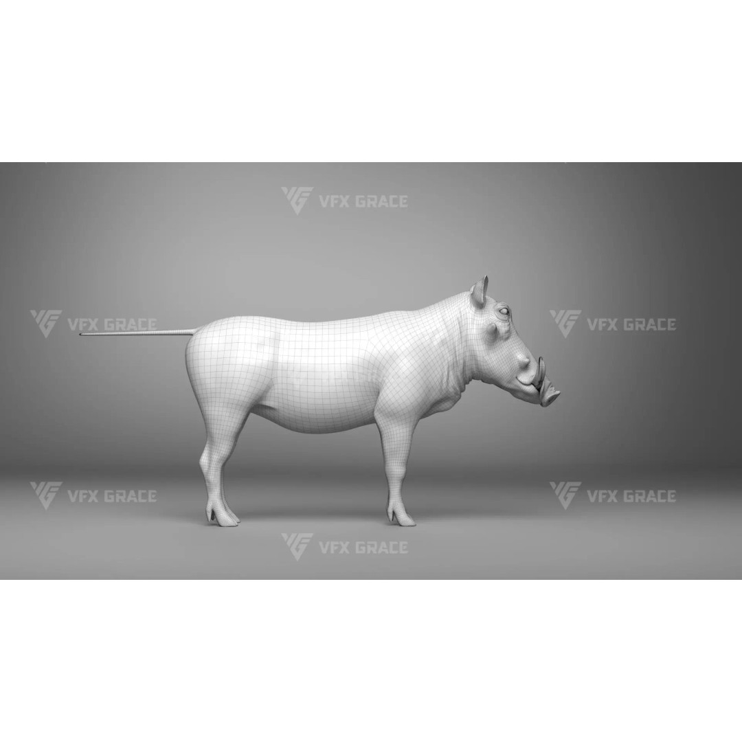 Warthog 3D Model – Realistic Animated Character, Blender, FBX - View 20