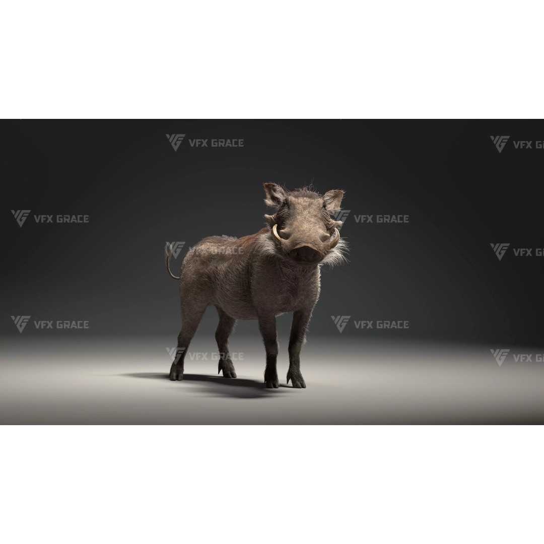 Warthog 3D Model – Realistic Animated Character, Blender, FBX - View 3