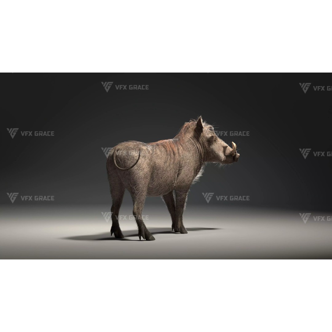 Warthog 3D Model – Realistic Animated Character, Blender, FBX - View 5
