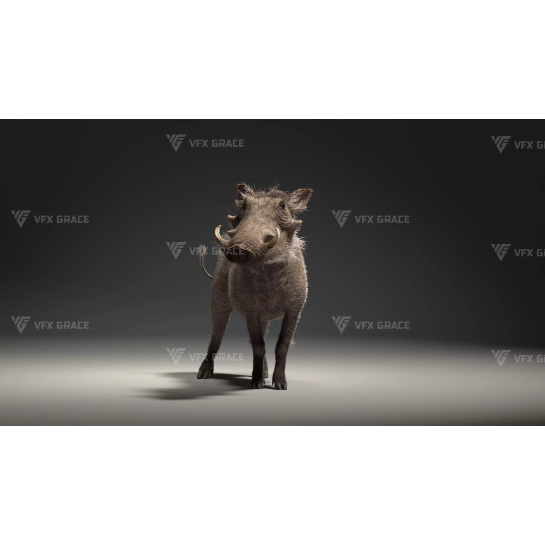 Warthog 3D Model – Realistic Animated Character, Blender, FBX - View 6