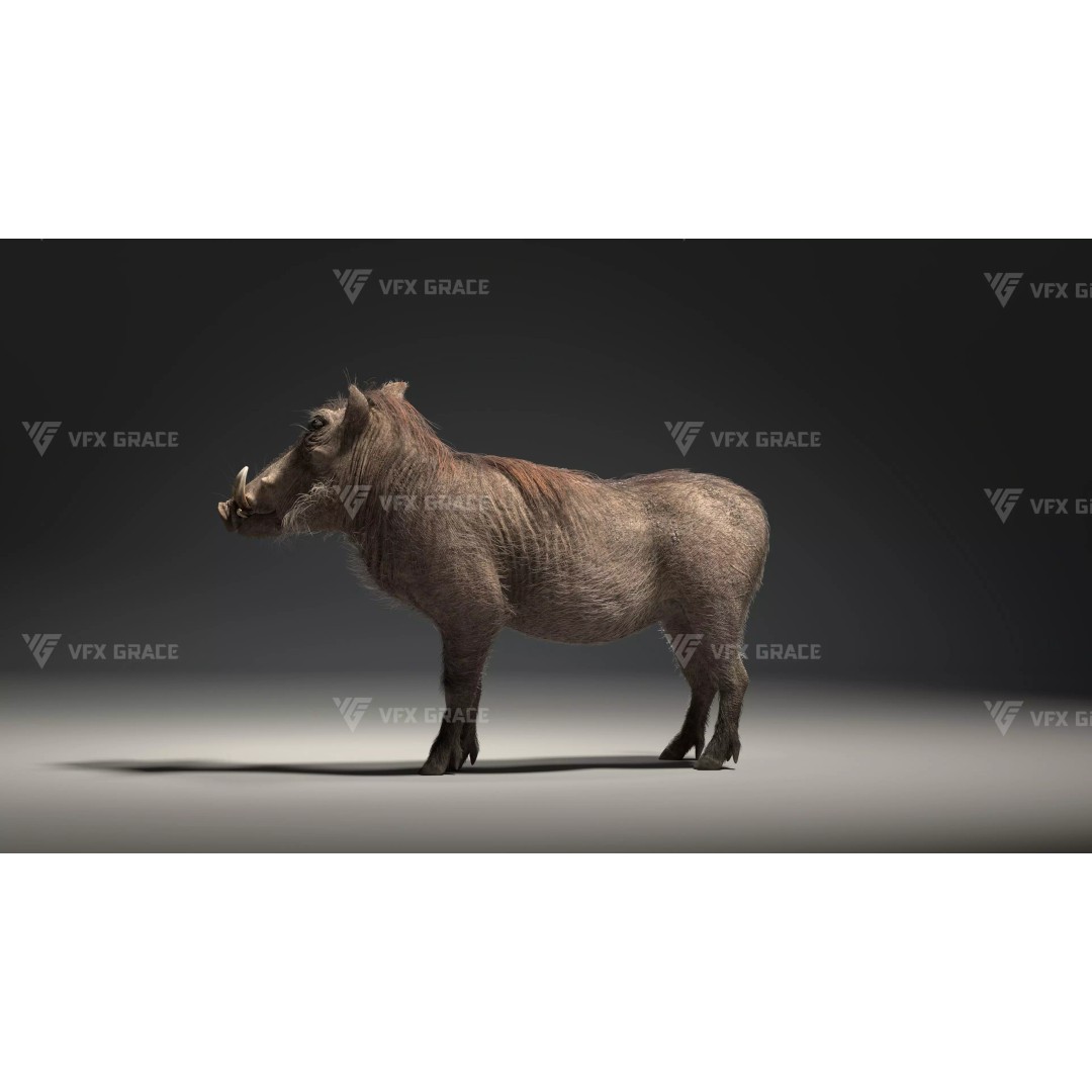 Warthog 3D Model – Realistic Animated Character, Blender, FBX - View 7