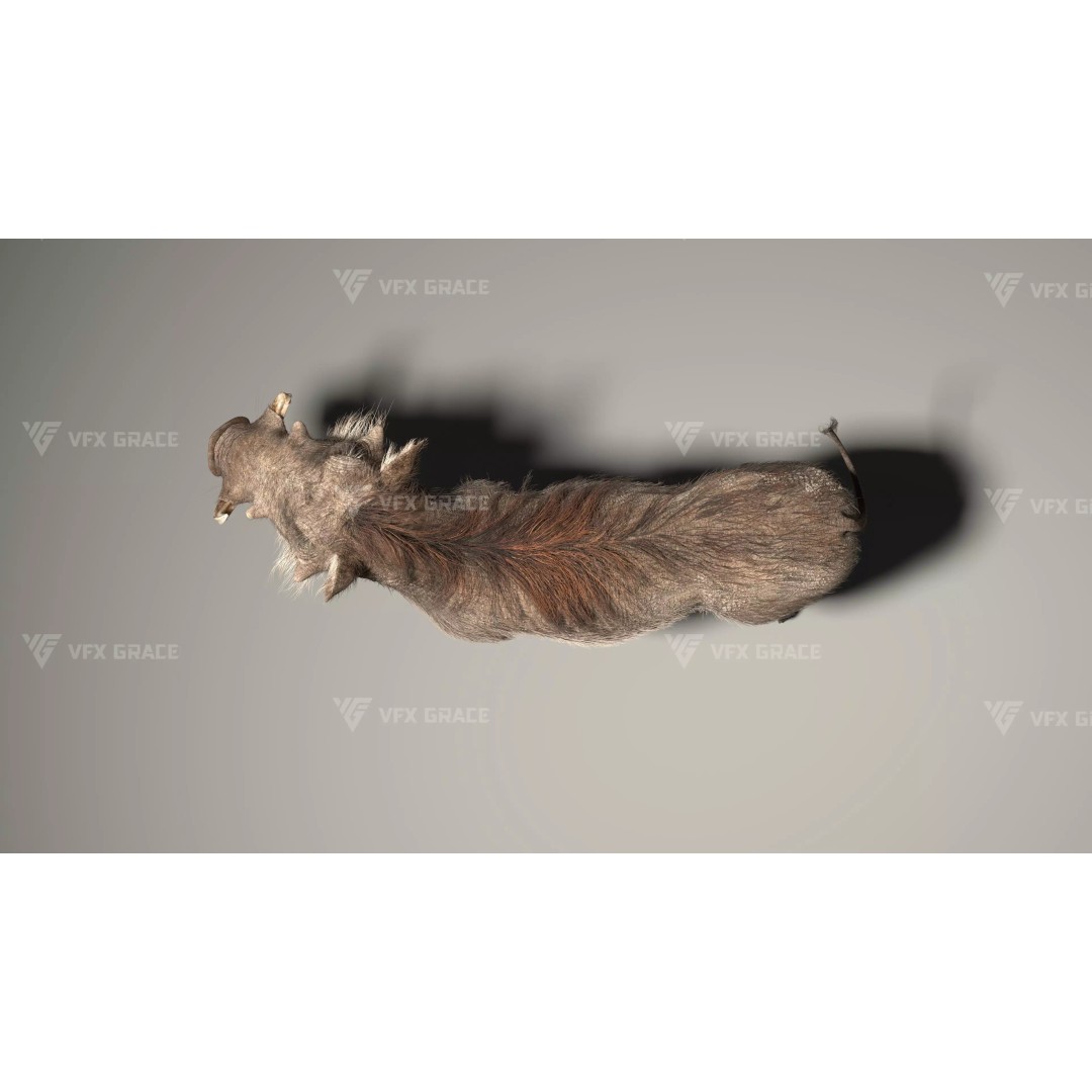 Warthog 3D Model – Realistic Animated Character, Blender, FBX - View 8