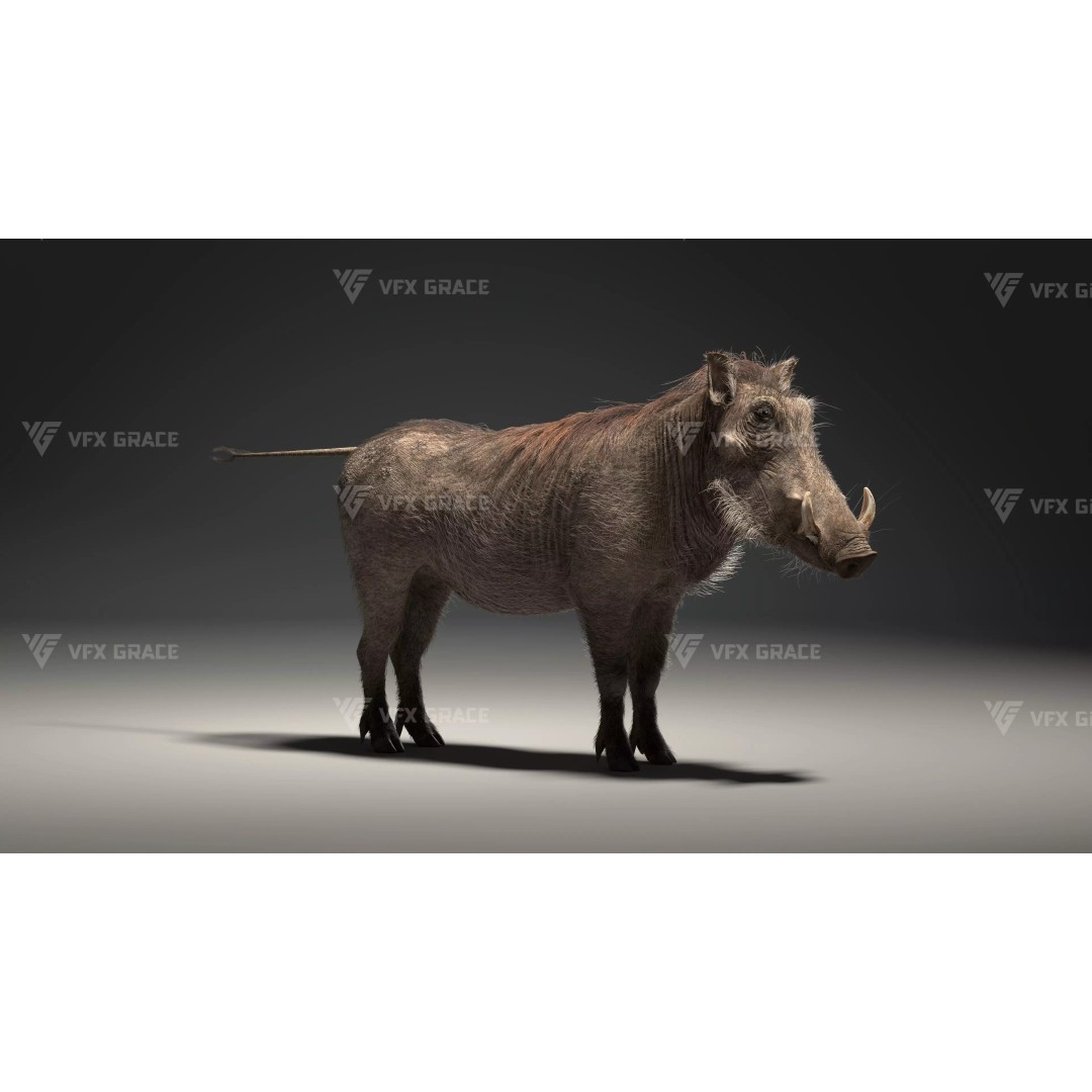Warthog 3D Model – Realistic Animated Character, Blender, FBX - View 9
