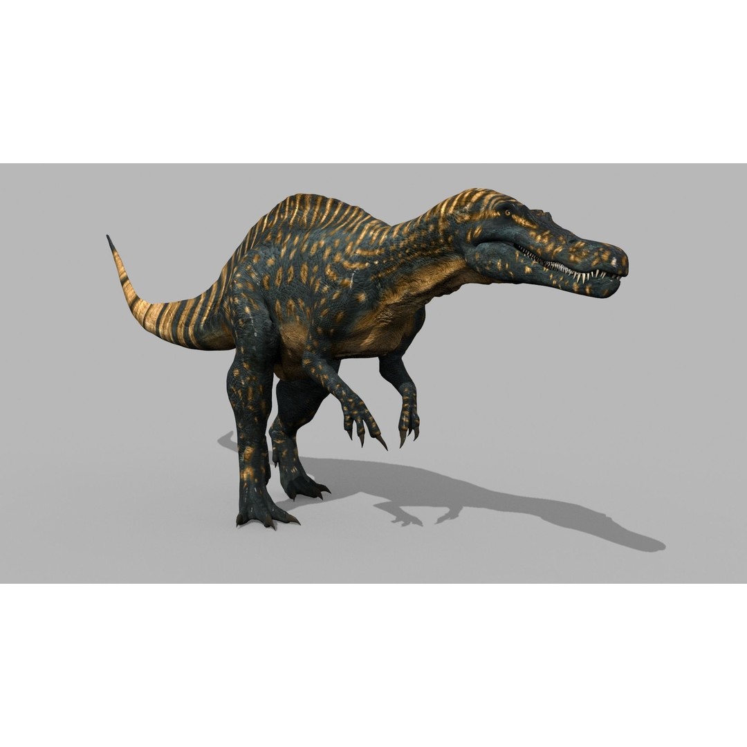 Dino Bonus Pack 3D Model – Fully Animated Dinosaurs, FBX, OBJ - View 105