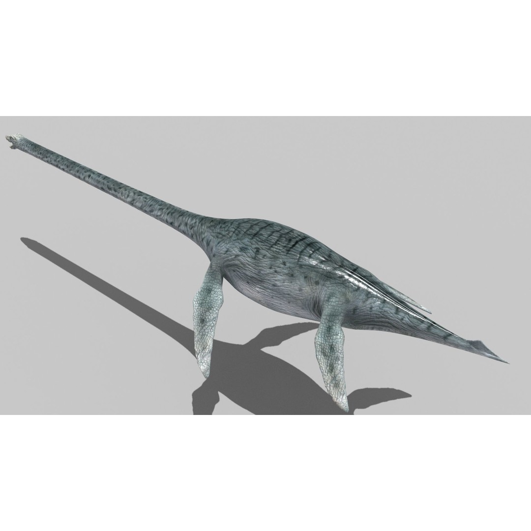 Dino Bonus Pack 3D Model – Fully Animated Dinosaurs, FBX, OBJ - View 11