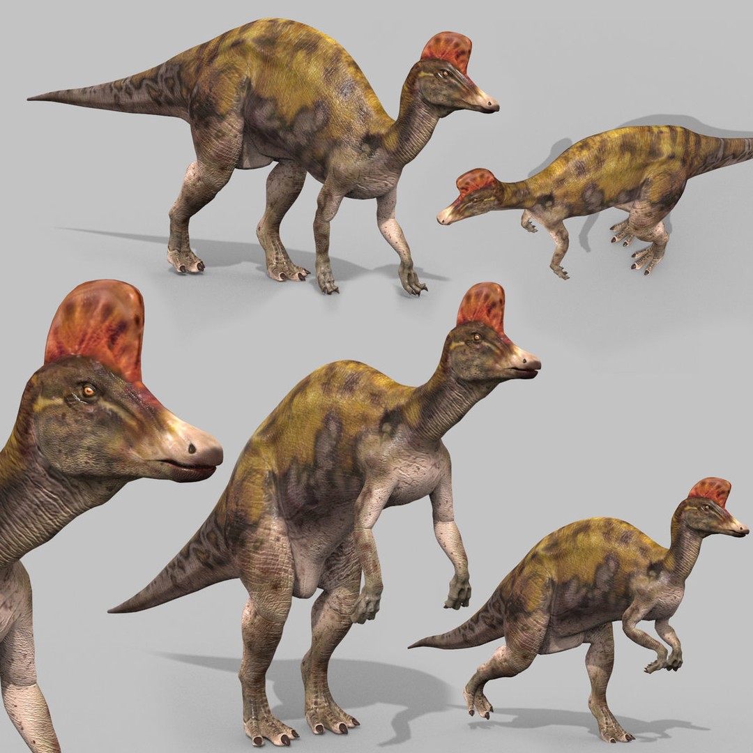 Dino Bonus Pack 3D Model – Fully Animated Dinosaurs, FBX, OBJ - View 117