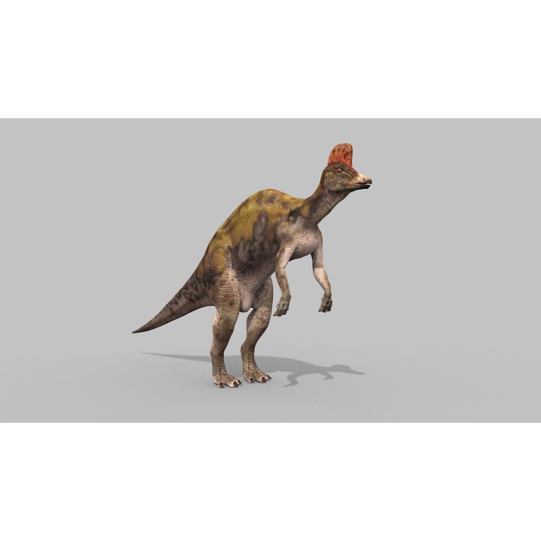 Dino Bonus Pack 3D Model – Fully Animated Dinosaurs, FBX, OBJ - View 118