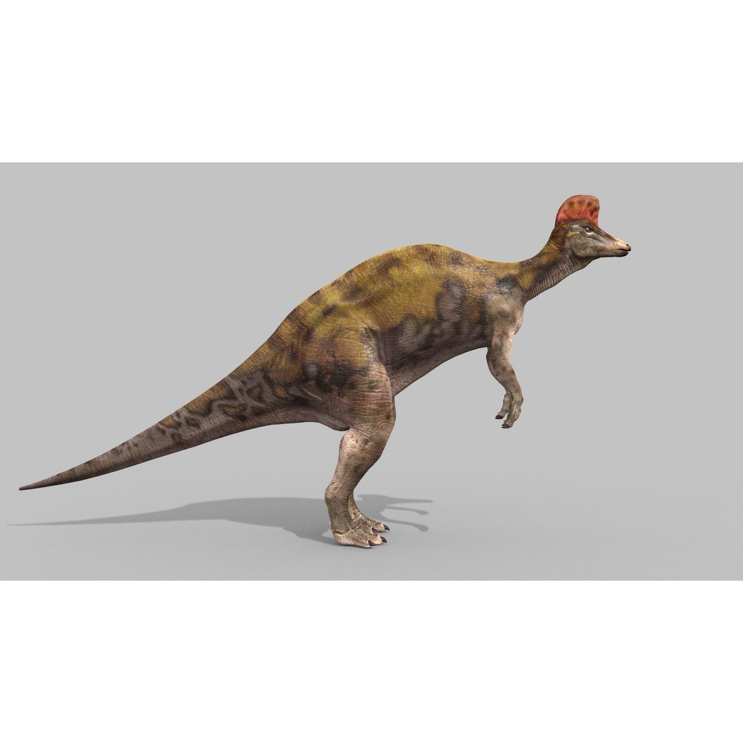 Dino Bonus Pack 3D Model – Fully Animated Dinosaurs, FBX, OBJ - View 119