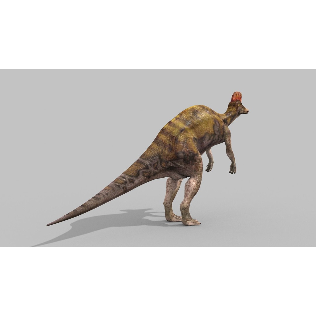 Dino Bonus Pack 3D Model – Fully Animated Dinosaurs, FBX, OBJ - View 120