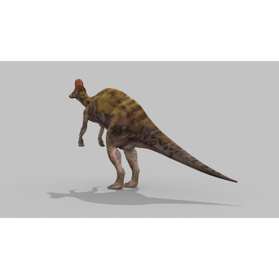 Dino Bonus Pack 3D Model – Fully Animated Dinosaurs, FBX, OBJ - View 121