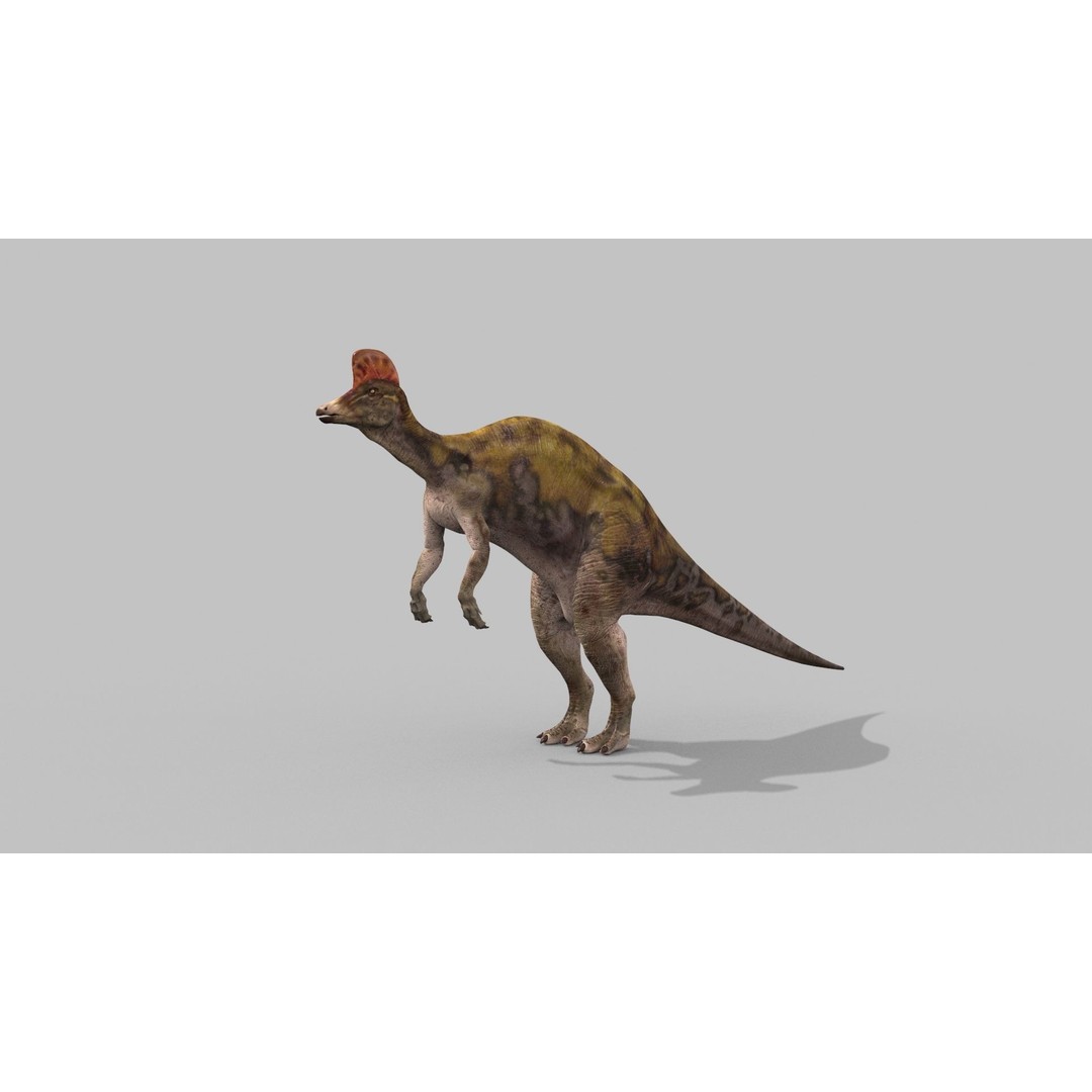 Dino Bonus Pack 3D Model – Fully Animated Dinosaurs, FBX, OBJ - View 122