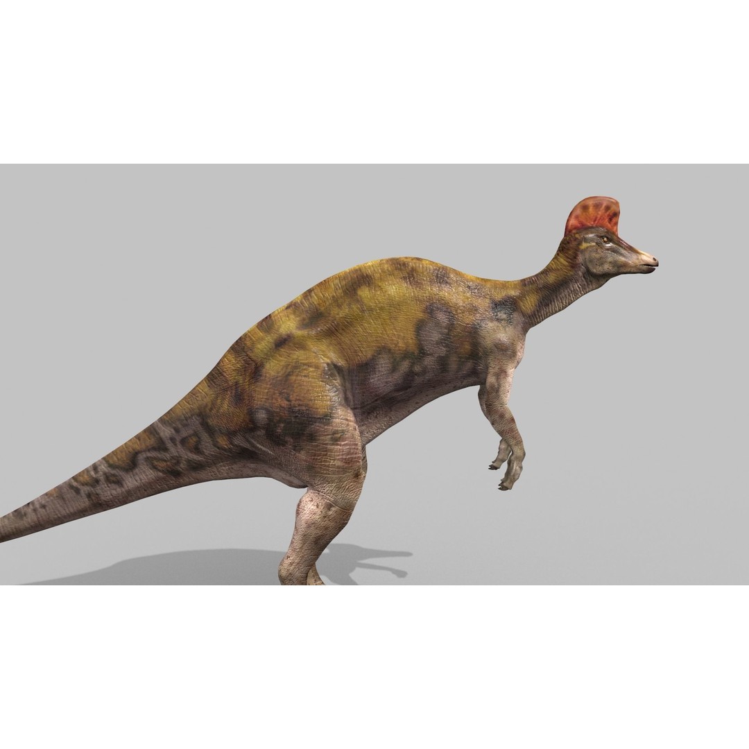 Dino Bonus Pack 3D Model – Fully Animated Dinosaurs, FBX, OBJ - View 125
