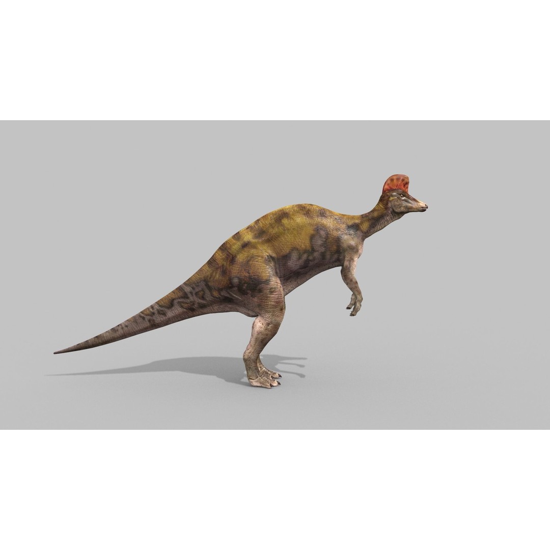 Dino Bonus Pack 3D Model – Fully Animated Dinosaurs, FBX, OBJ - View 126