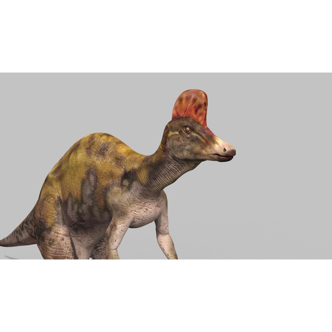 Dino Bonus Pack 3D Model – Fully Animated Dinosaurs, FBX, OBJ - View 127