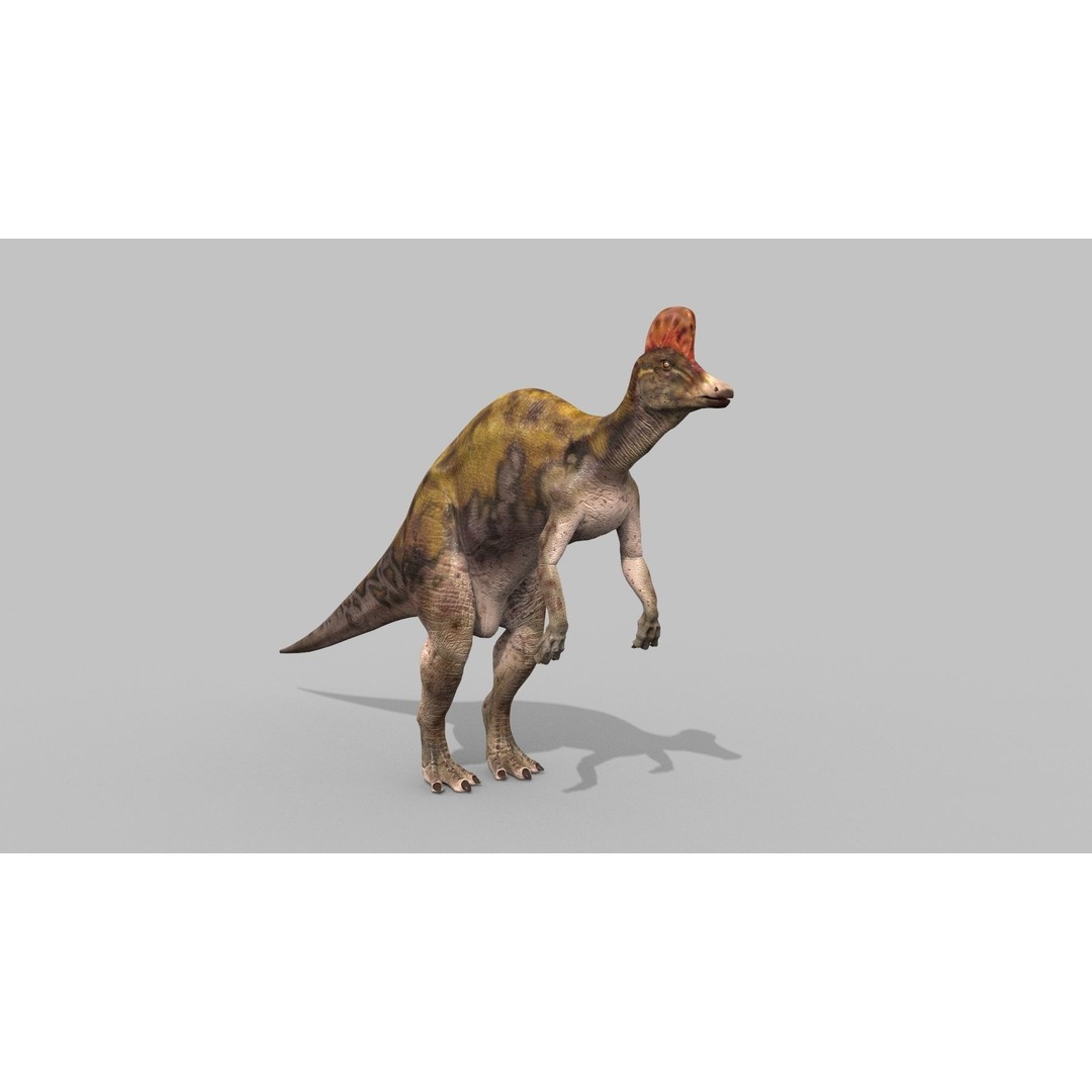 Dino Bonus Pack 3D Model – Fully Animated Dinosaurs, FBX, OBJ - View 128