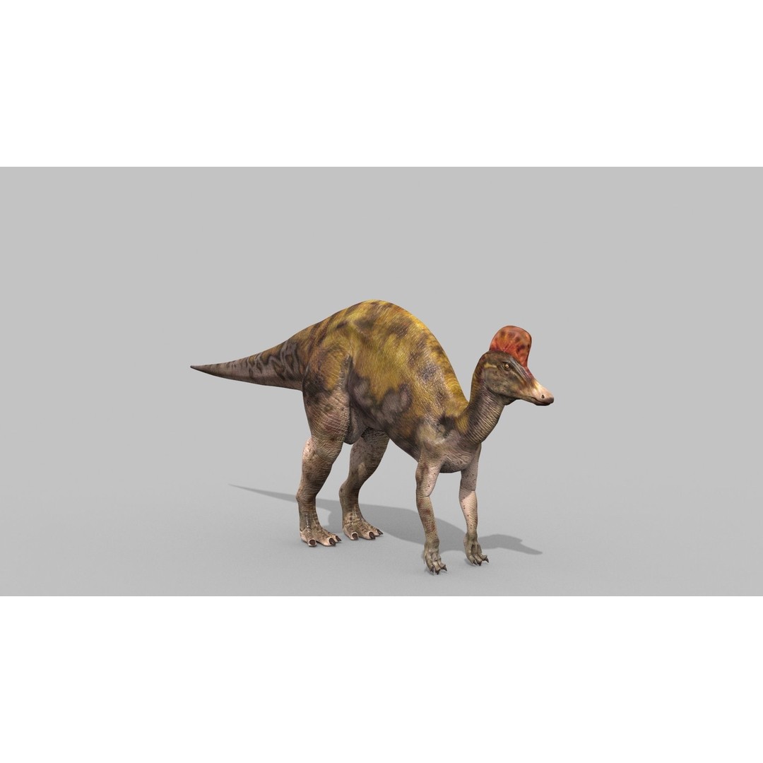 Dino Bonus Pack 3D Model – Fully Animated Dinosaurs, FBX, OBJ - View 129
