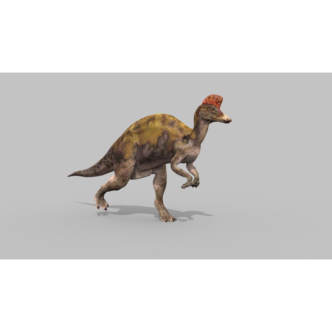 Dino Bonus Pack 3D Model – Fully Animated Dinosaurs, FBX, OBJ - View 131