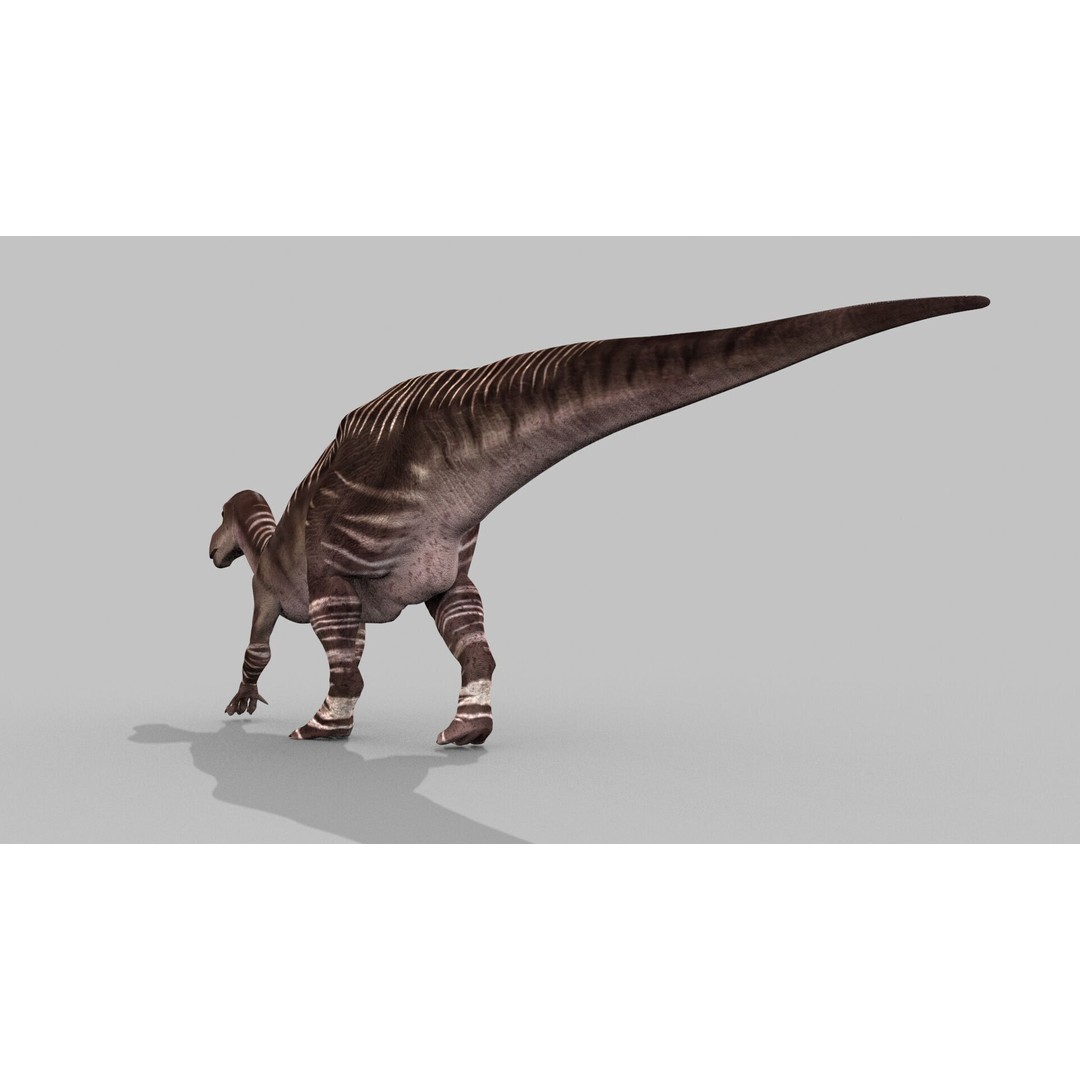 Dino Bonus Pack 3D Model – Fully Animated Dinosaurs, FBX, OBJ - View 141