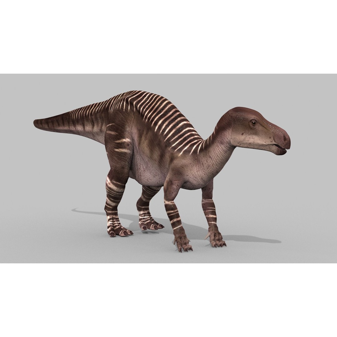 Dino Bonus Pack 3D Model – Fully Animated Dinosaurs, FBX, OBJ - View 147