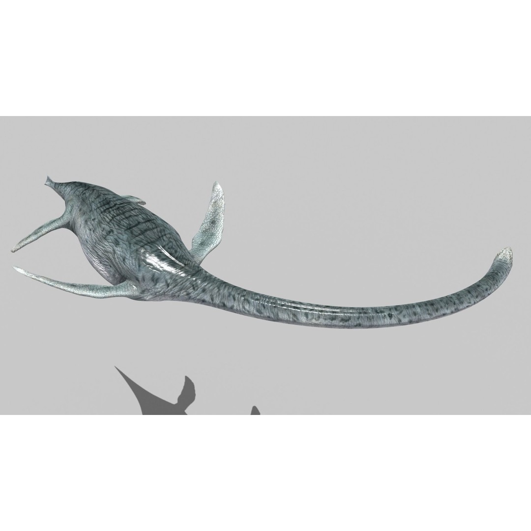 Dino Bonus Pack 3D Model – Fully Animated Dinosaurs, FBX, OBJ - View 15