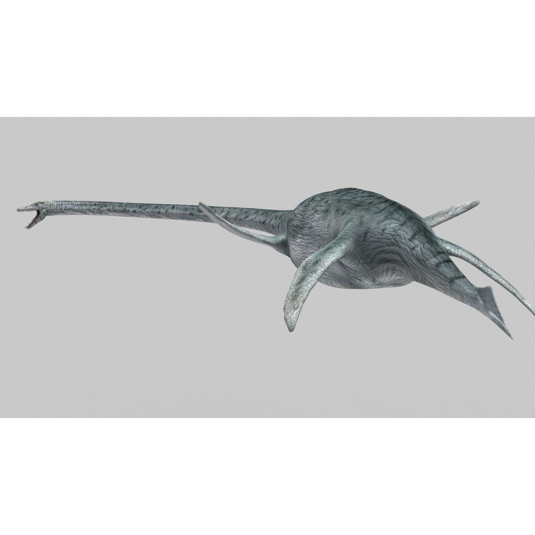 Dino Bonus Pack 3D Model – Fully Animated Dinosaurs, FBX, OBJ - View 16