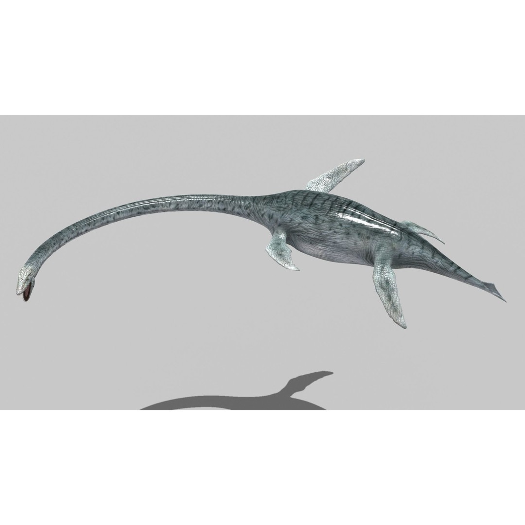 Dino Bonus Pack 3D Model – Fully Animated Dinosaurs, FBX, OBJ - View 17
