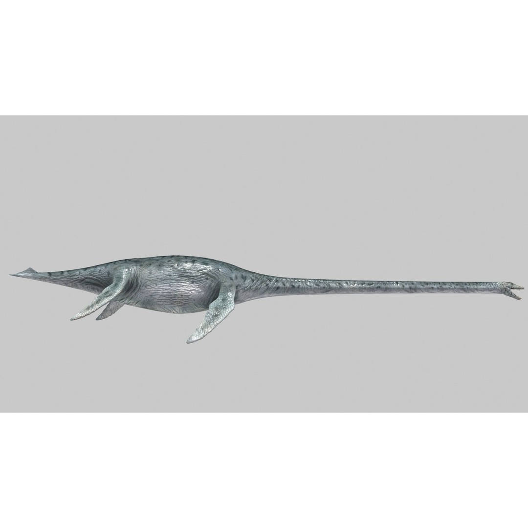 Dino Bonus Pack 3D Model – Fully Animated Dinosaurs, FBX, OBJ - View 18