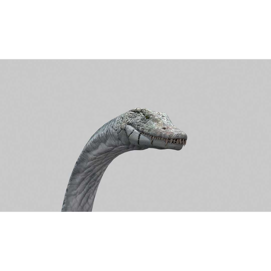 Dino Bonus Pack 3D Model – Fully Animated Dinosaurs, FBX, OBJ - View 19