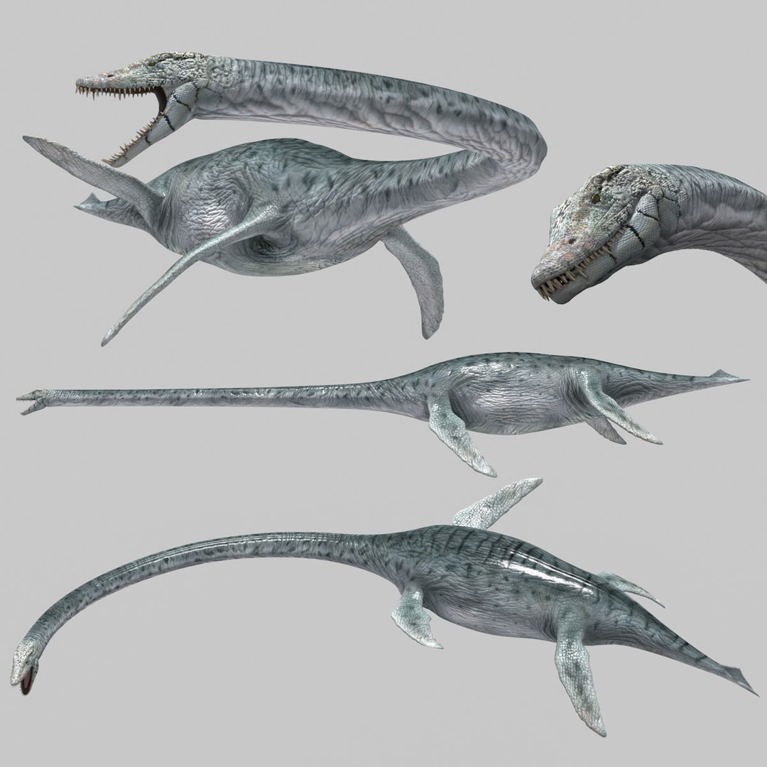 Dino Bonus Pack 3D Model – Fully Animated Dinosaurs, FBX, OBJ - View 3