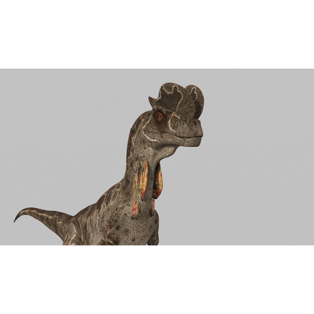 Dino Bonus Pack 3D Model – Fully Animated Dinosaurs, FBX, OBJ - View 37
