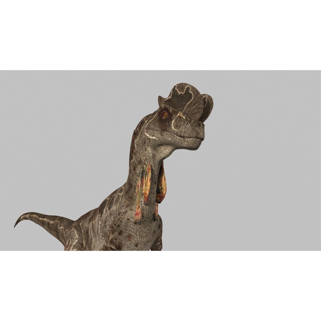 Dino Bonus Pack 3D Model – Fully Animated Dinosaurs, FBX, OBJ - View 38