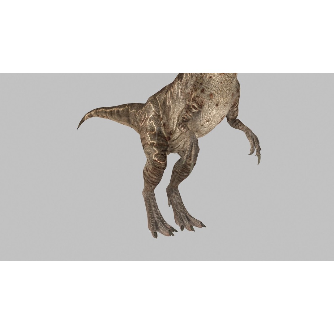 Dino Bonus Pack 3D Model – Fully Animated Dinosaurs, FBX, OBJ - View 40
