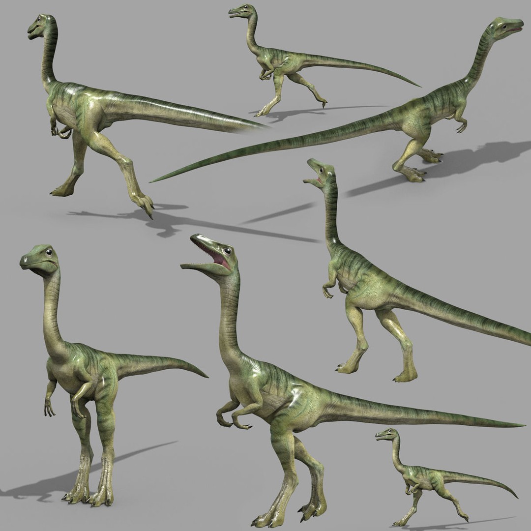 Dino Bonus Pack 3D Model – Fully Animated Dinosaurs, FBX, OBJ - View 69