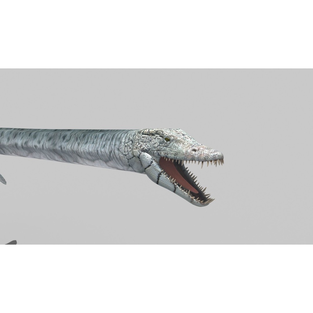 Dino Bonus Pack 3D Model – Fully Animated Dinosaurs, FBX, OBJ - View 7