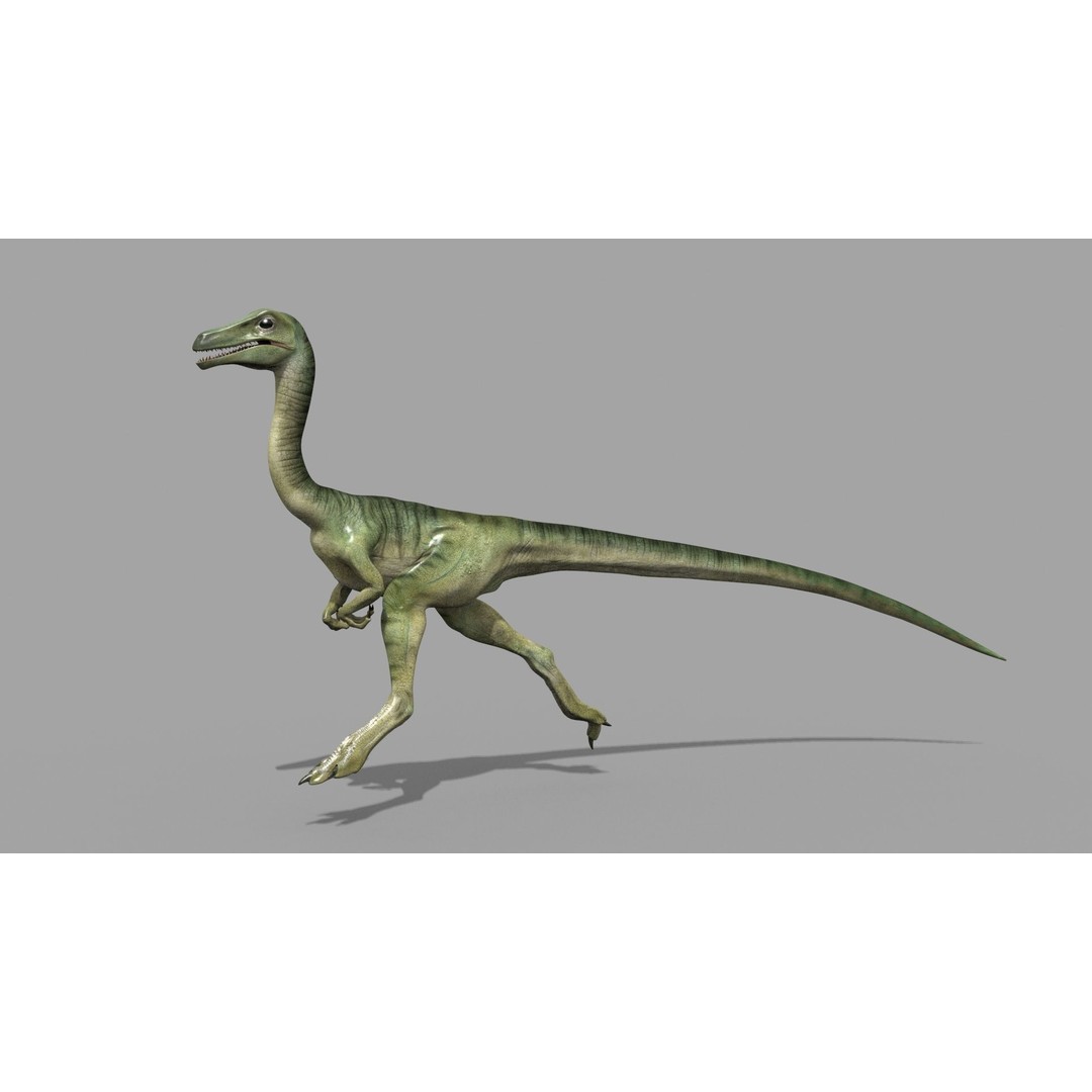 Dino Bonus Pack 3D Model – Fully Animated Dinosaurs, FBX, OBJ - View 72
