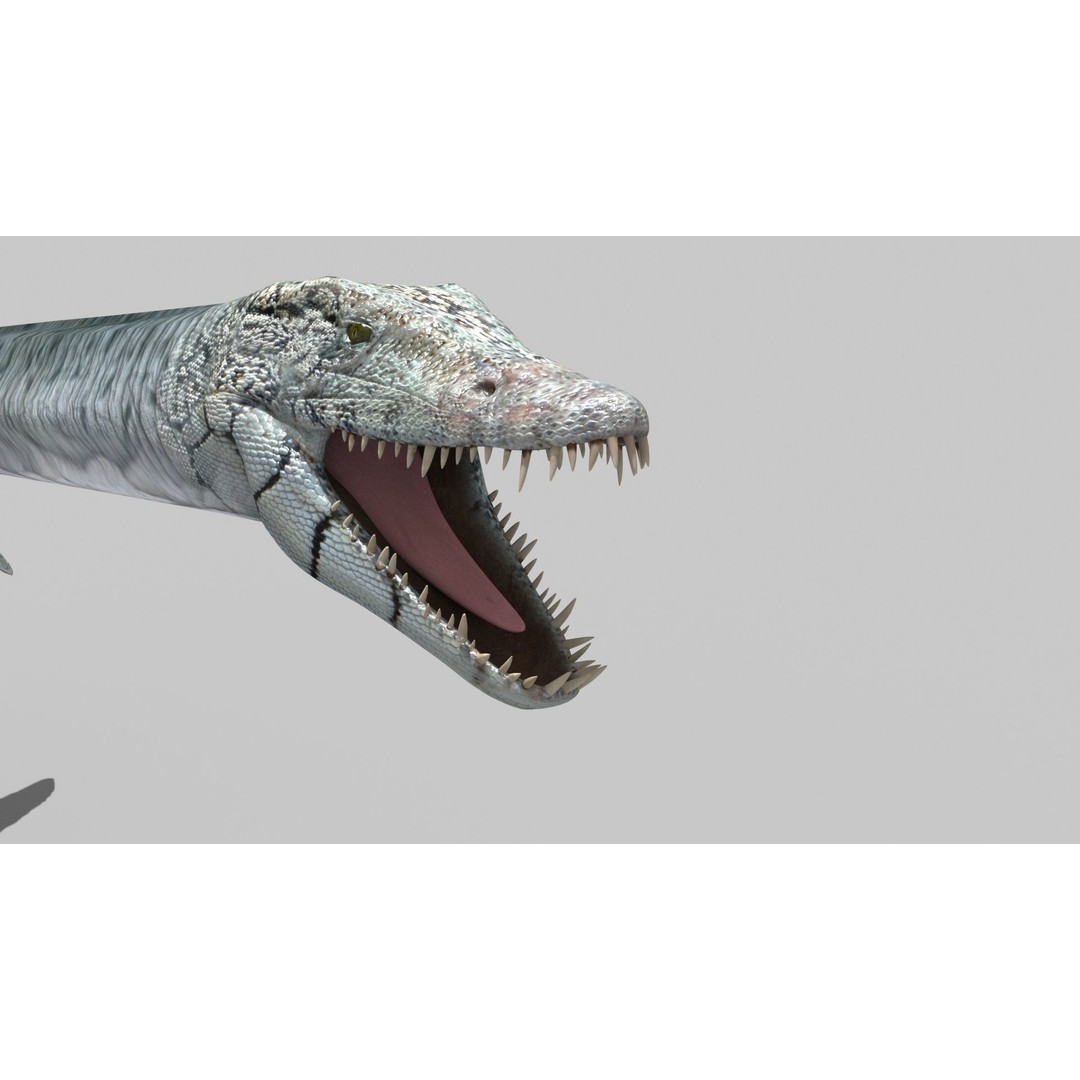 Dino Bonus Pack 3D Model – Fully Animated Dinosaurs, FBX, OBJ - View 8