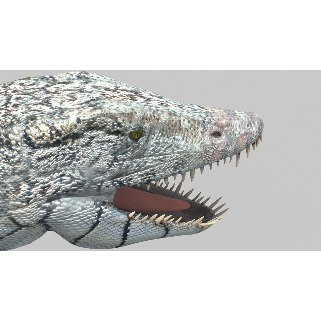 Dino Bonus Pack 3D Model – Fully Animated Dinosaurs, FBX, OBJ - View 9