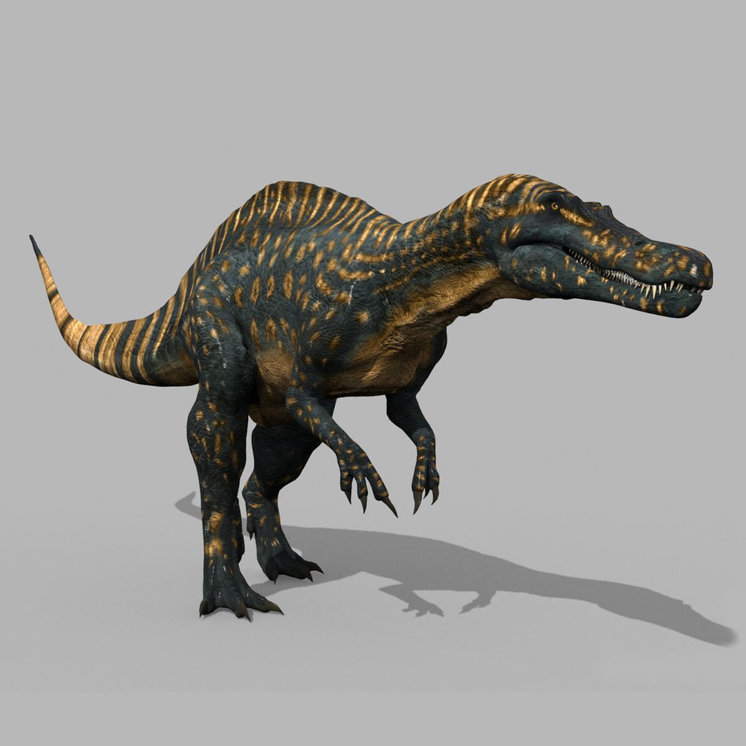 Dino Bonus Pack 3D Model – Fully Animated Dinosaurs, FBX, OBJ - View 92