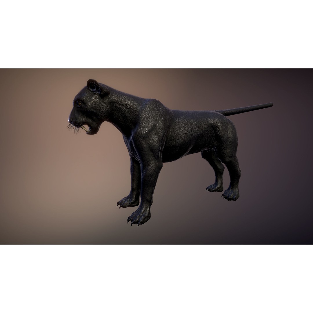 Panther 3D Model – Low Poly Animated Creature, FBX & PBR Textures - View 5